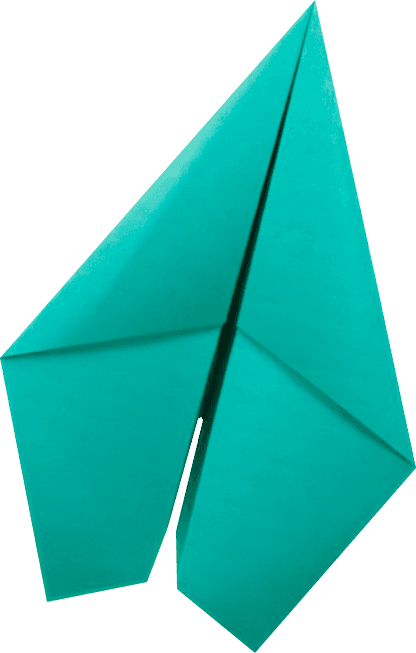 Primary Plane